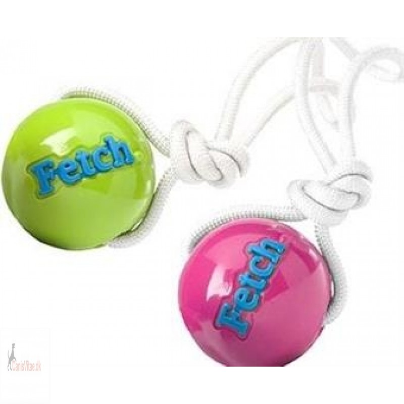 Planet Dog Orbee-tuff Fetch Ball with rope