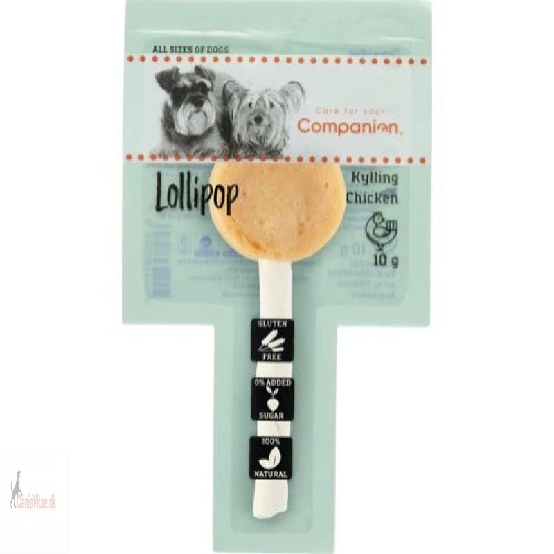 Companion lollipop, 10 gram