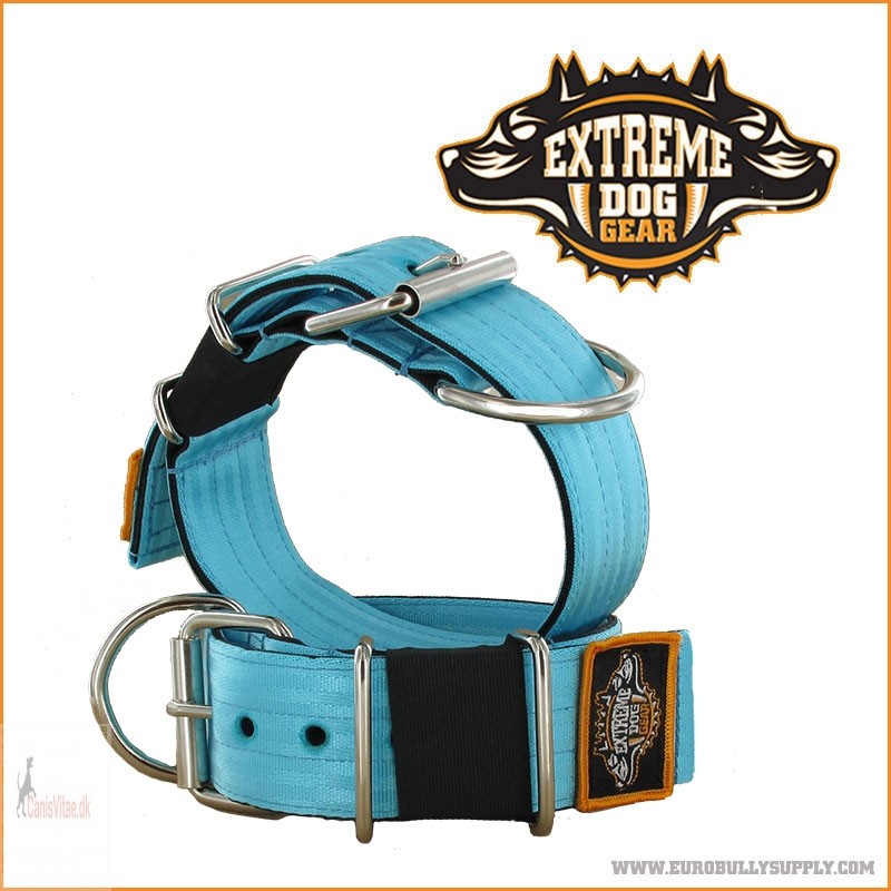 Extreme Dog Gear Halsbånd, 5 cm bredt - Turkis