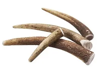 Gevir, original  - fra - Gevir/knogler o.l.