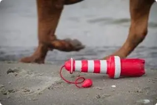 Rogz Lighthouse (fyrtårn) - Vandhunden