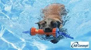 Chuck It Rugged Bumber - TILBUD