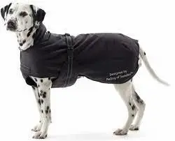 Kruuse Rehab Softshell hundedækken - fra - Hunde vinterjakke