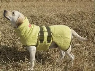 Siccaro Supreme pro, classic grøn (bamboo) - fra - Siccaro