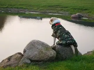 Siccaro Spirit - fra - Siccaro