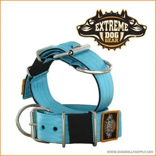 Extreme Dog Gear Halsbånd, 5 cm bredt - Turkis - Halsbånd