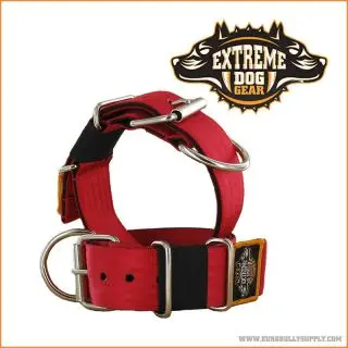 EXTREME DOG GEAR HALSBÅND, 5 CM BREDT - rød - Halsbånd