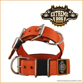 EXTREME DOG GEAR HALSBÅND, 5 CM BREDT - Orange - Halsbånd