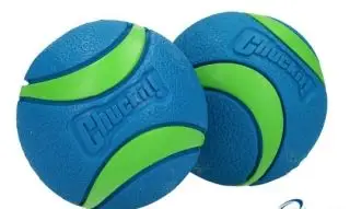 Chuck It Ultra ball, blå/grøn - medium (2stk) - TILBUD