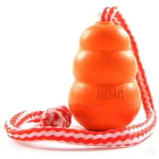Kong Aqua, medium - Bolde