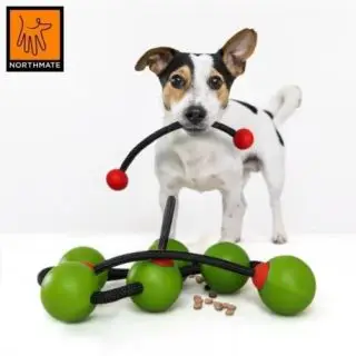 Northmate DoGo - Legetøj & Aktivering