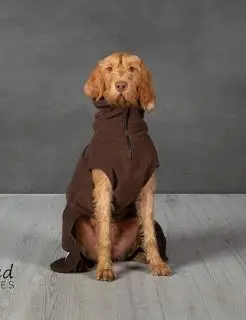 Tørredækken brun, Collared Creaures - væg størrelse, FRA - Collared Creatures