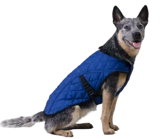 Køledækken Aqua Coolkeeper, pacific blå - vælg størrelse - Køledækken - køling af hund