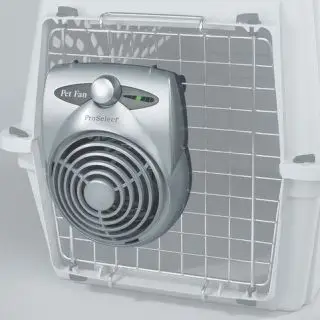 Køle ventilator - Hundetransport