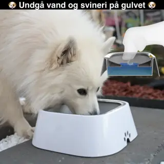 Spildfri vandskål - Hundeskåle