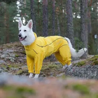 Rukka Protect Regndækken, GUL, fra - Hunde regnjakker